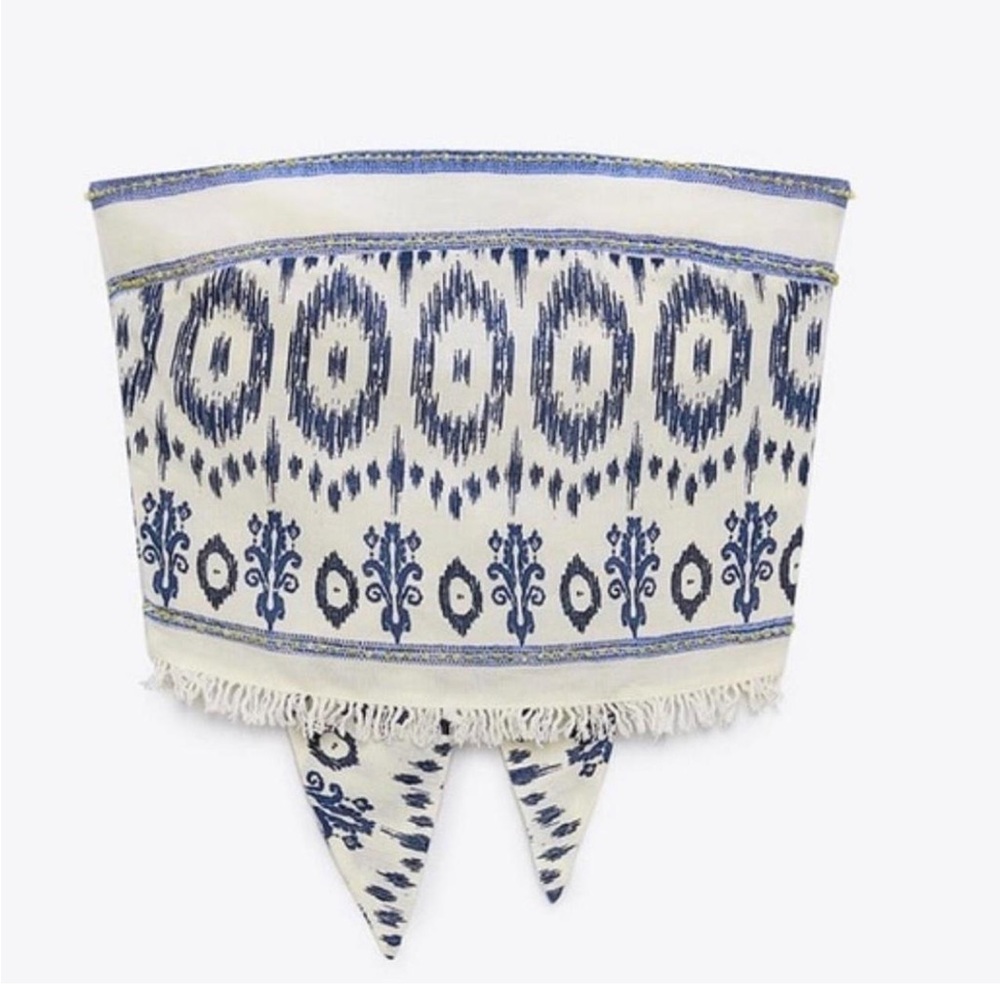 Zara Strapless Tie in Back Crop Top